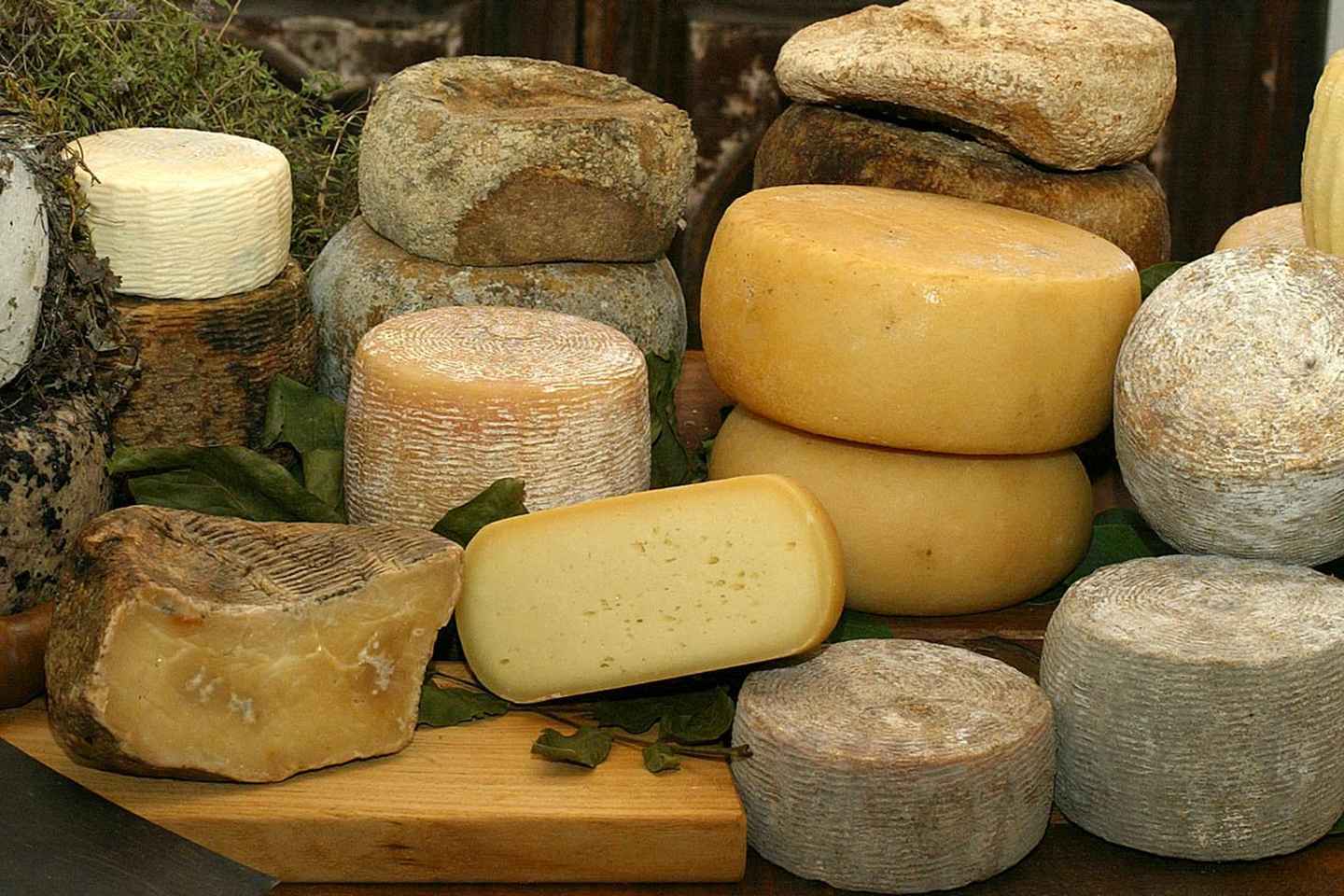 Montepulciano et Pienza : Découverte des trésors de la Toscane !