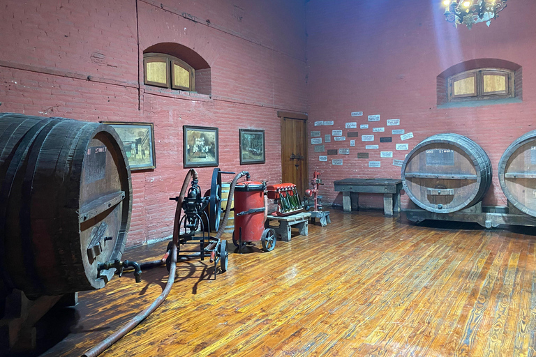 Santiago: Pueblito Los Dominicos & Cousiño Macul Winery