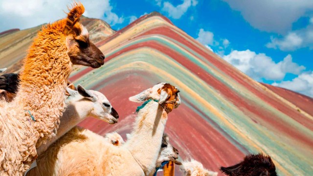 Visit From Cusco Guided Rainbow Mountain Trip with Transportation in Cusco