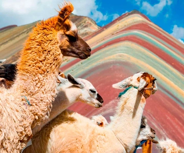 Cusco: Ausflug zum Regenbogenberg Tagestour