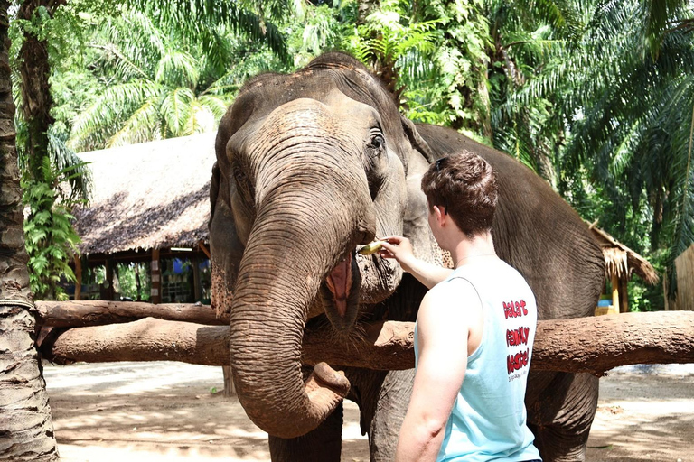 Krabi : L&#039;abri des éléphants et les collines de Khaothong (visite privée)Cuisinez et nourrissez-vous à l&#039;abri des éléphants avec transfert privé