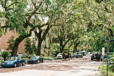 Savannah: recorrido histórico y turístico en tranvía