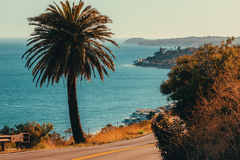 Tour privato Malibu Santa Monica Venice Spiagge iconicheTour privato di Los Angeles Spiagge iconiche Malibu Santa Monica Venice