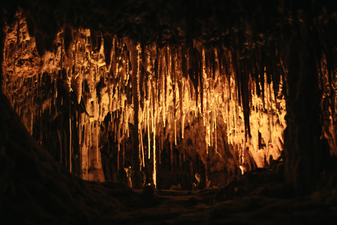 Porto Cristo: Inträdesbiljett till Cuevas dels HamsMallorca: Besök till Cuevas dels Hams