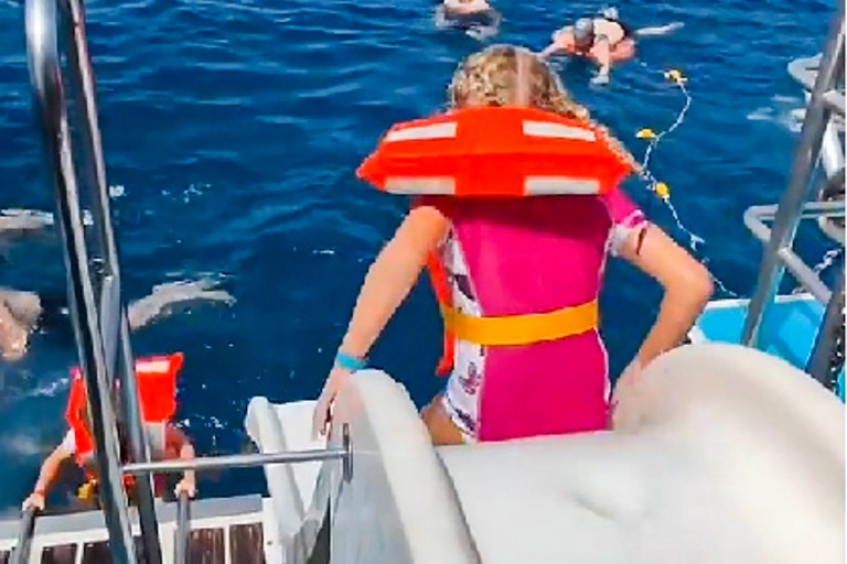 Gran Canaria: Crucero en catamarán para buscar delfines con snorkelGran Canaria: Crucero de avistamiento de delfines y ballenas y snorkel
