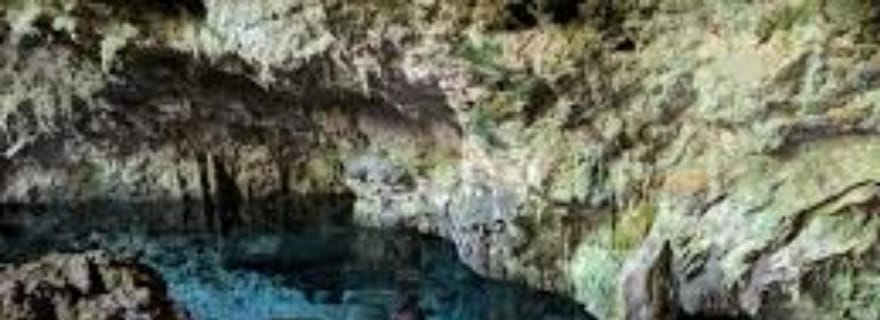 Zanzibar : baignade avec des tortues de mer dans une grotte-jardin cachée.