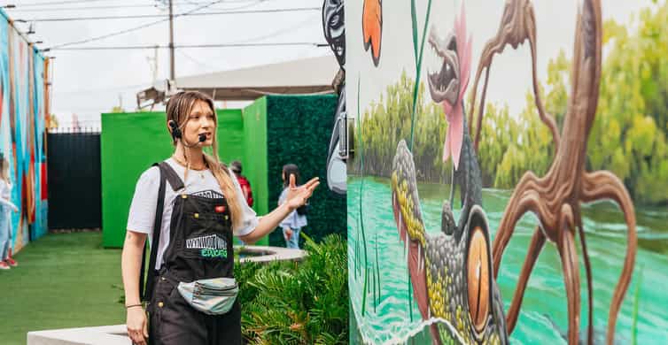 Miami: Wynwood Walls, Galleries, and Murals Guided Tour photo 4
