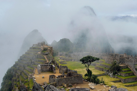 Peru 11d/Hotel 3*** ColcaCanyon, TiticacaLake, MachuPicchu Peru 11d/Hotel 3*** ColcaCanyon, MachuPicchu Solo traveler