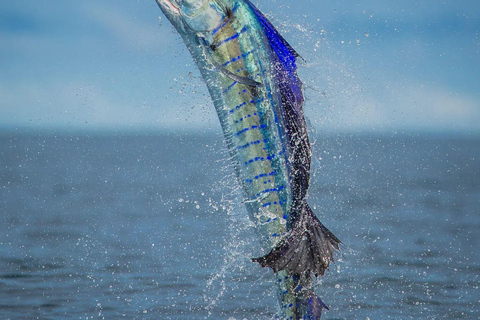 Fishing sporting zanzibar