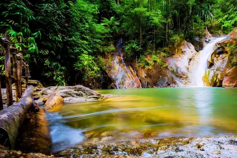 Phuket: White Water Rafting and Jungle Adventure with Lunch