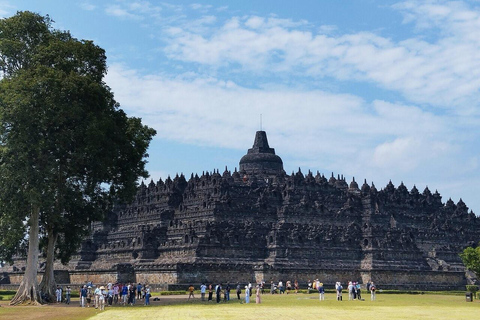 Borobudur klättring till toppen och Prambanan guidad tur