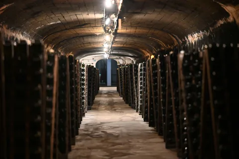 Bodega Santa Rosa - Ospita la cantina sotterranea più grande del Sudamerica.