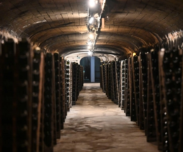 Bodega Santa Rosa - Abriga a maior adega subterrânea da América do Sul.