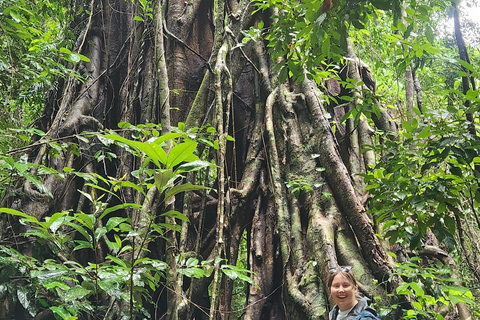 Vattenfall &amp; Bushwalk Eco Adventure Tour Whitsundays