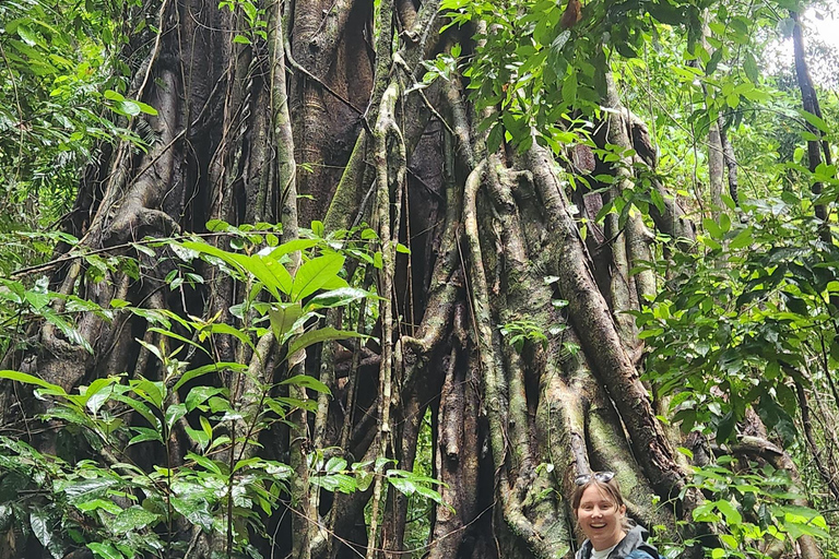 Waterfalls & Bushwalk Eco Adventure Tour