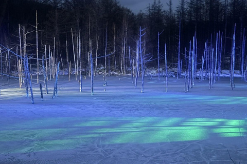 Sapporo: Furano, Biei & Ningle Terrace Winter Light Tour