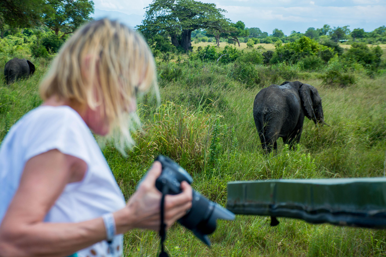 Tanzania: 2-dagars safari till Tarangire och Ngorongoro-kratern