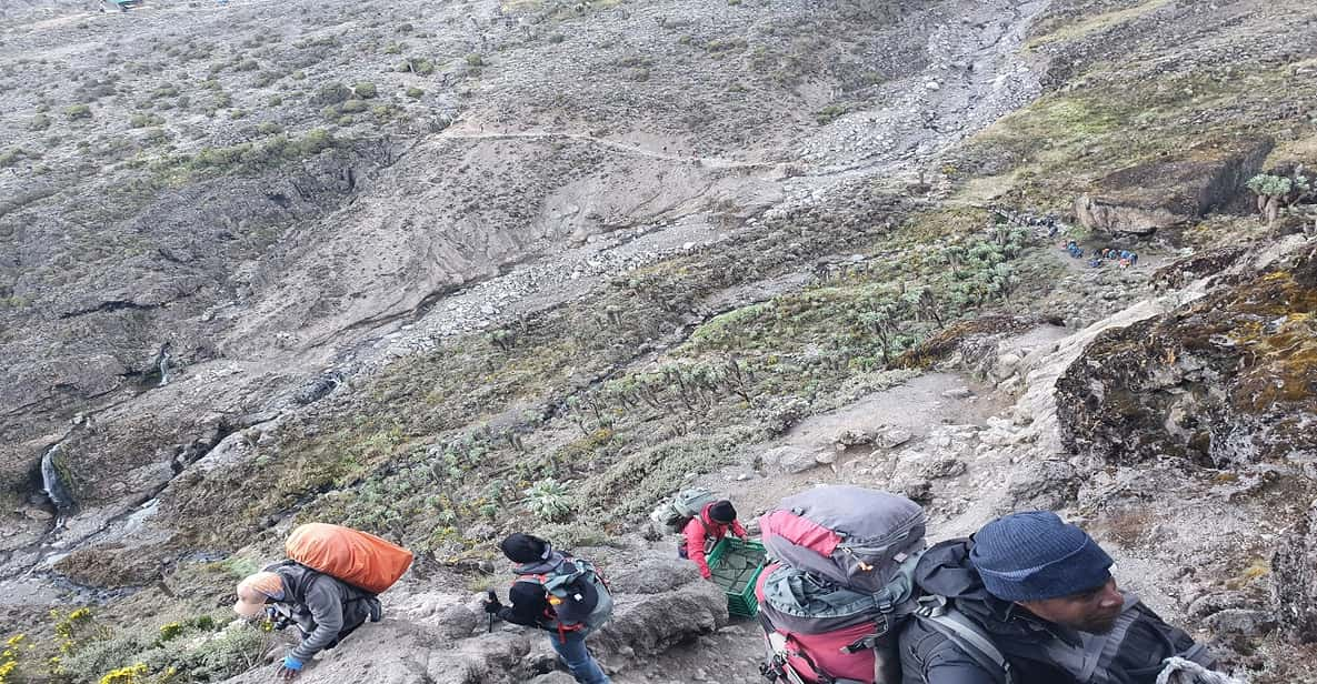 11 Days Kilimanjaro Climbing Northern Circuit Route GetYourGuide