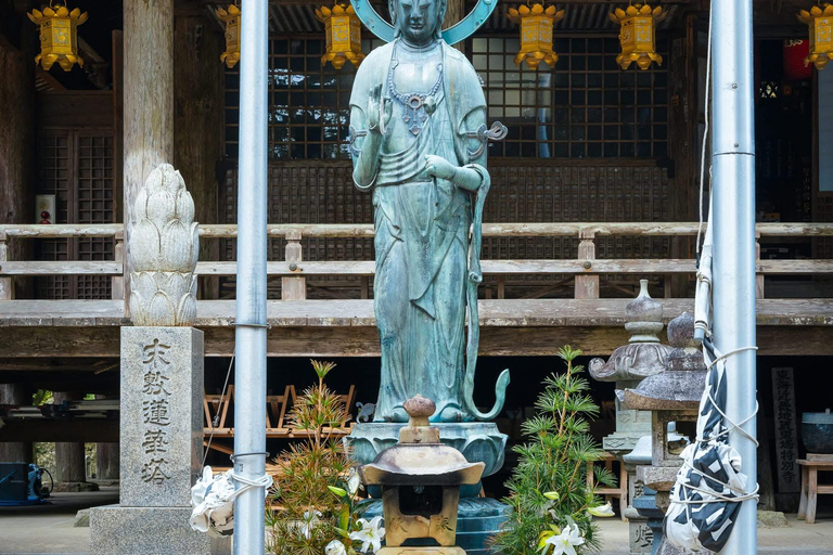 Guided Wakayama Heritage & Forest Trails with Hotel Pickup