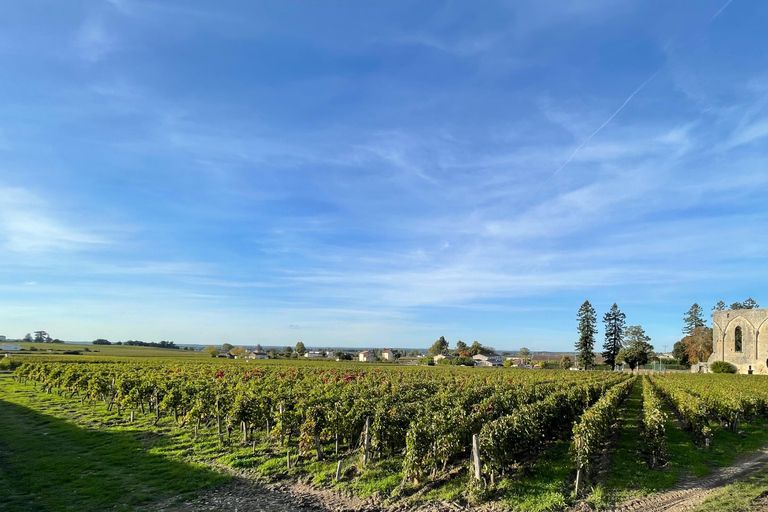 From Bordeaux: Morning in Saint-Emilion – Breakfast + Tour + Tasting Morning in Saint-Emilion from Bordeaux: Breakfast + Tour + Tasting