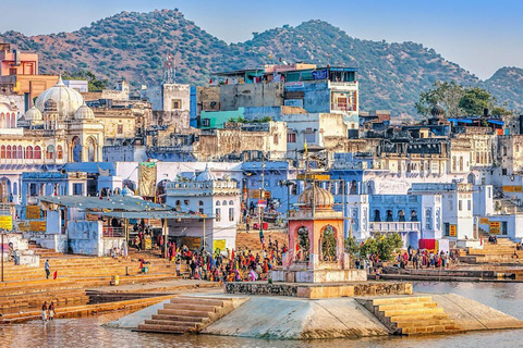 Desde Jaipur: Viaje de un día de Jaipur a Pushkar