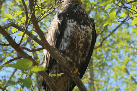 Zululand : Birding &amp; Cultural Experience