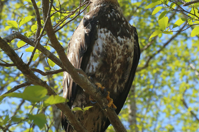 Zululand : Birding &amp; Cultural Experience