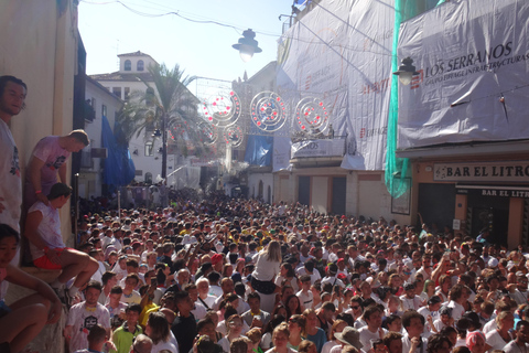 Madrid: : La Tomatina Day Trip to Buñol with Party Access