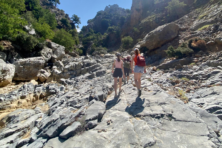 Creta: Tour guiado de senderismo por el Cañón de Kritsa