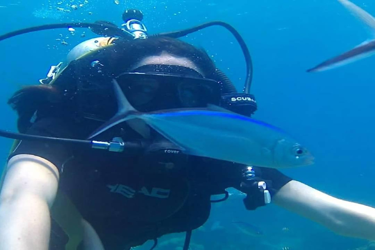 Punta Cana: Catalina Island Scuba Diving Day Trip