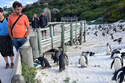 Cape of Good Hope and Penguins Full-Day Private Tour Private tour: Cape of Good Hope and Penguins Full-Day Tour