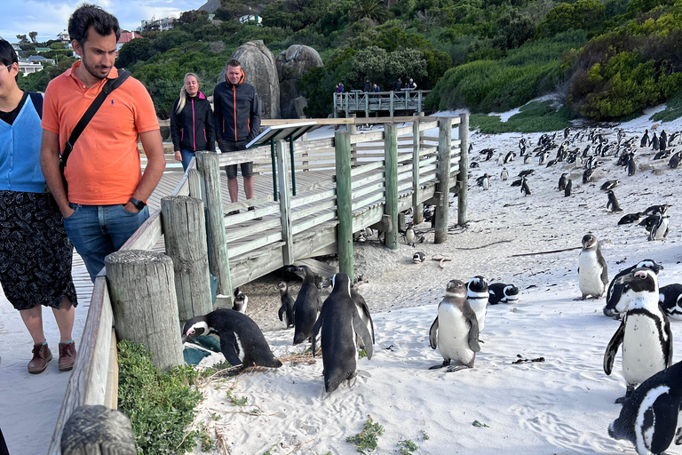 Cape of Good Hope and Penguins Full-Day Private Tour Private tour: Cape of Good Hope and Penguins Full-Day Tour