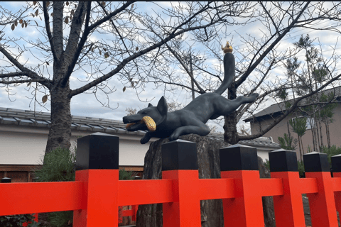 Tour privato a Nara e Inari con guida parlante spagnolo