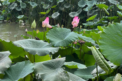 Muscat: Wadi Shab Hike and Bimmah Sinkhole Tour with Lunch Muscat: Wadi Shab Hike and Bimmah Sinkhole Tour with Lunch