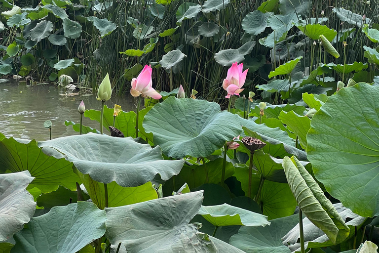 Muscat: Wadi Shab Hike and Bimmah Sinkhole Tour with Lunch Muscat: Wadi Shab Hike and Bimmah Sinkhole Tour with Lunch