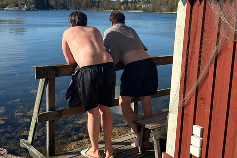 Furuvik seaside sauna: Sauna and Cold Plunge Experience