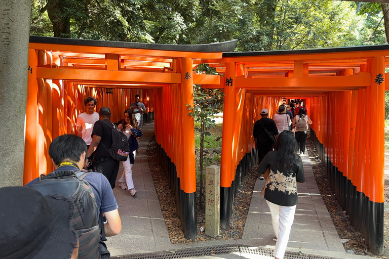 Kyoto: Inari Shrine Wandeltocht met lokale gids