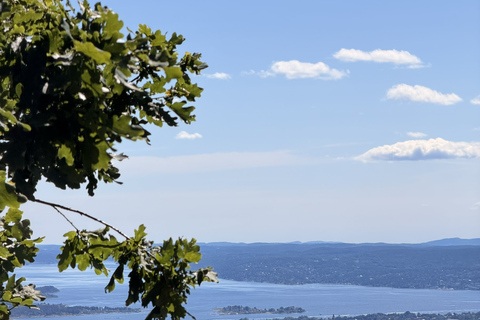 Oslo’s Hidden Gem:Hike with Panoramic Views, Waffles&Brunost
