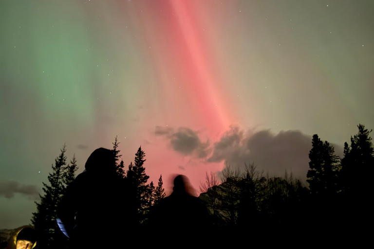Banff/Canmore: PRIVATE Stargazing & Northern Lights Tour