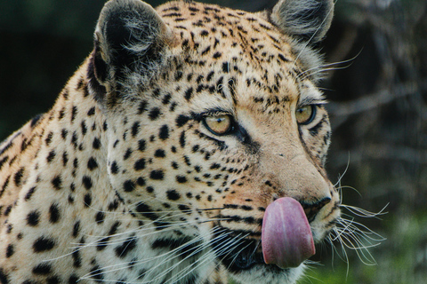 Namibie : 10 jours d&#039;excursion avec hébergement