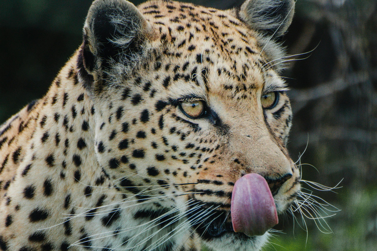 Namibie : 10 jours d&#039;excursion avec hébergement