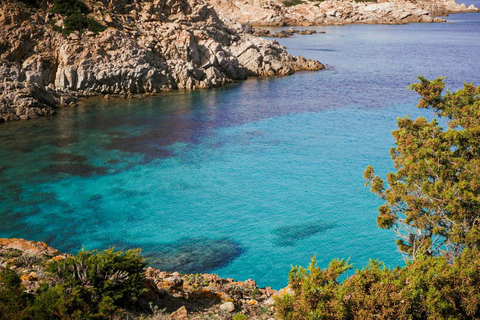 من ستينتينو جولة شاحنة أسينارا الصغيرة