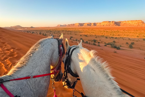 Horse Riding in Riyadh