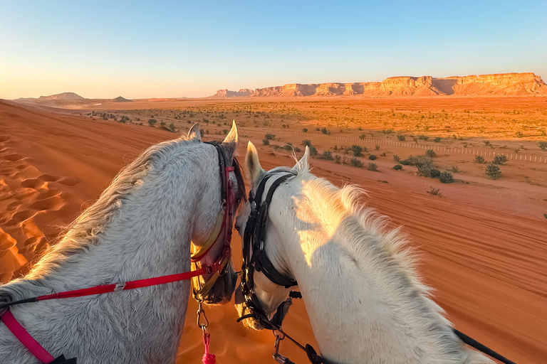 Horse Riding in Riyadh