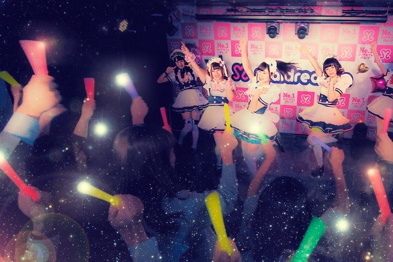 Nagoya Osu Akamon Street: Maid Cafe Exp. Maidreamin Dinner Plan