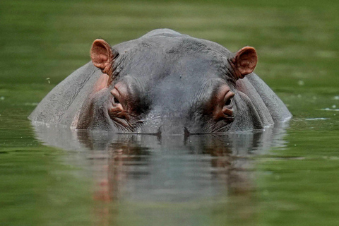 Kampala: Lake Mburo National Park 2-Day Safari Tour