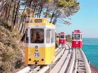 Busan, Coastal Wonders & Cultural Gems Tour with Sky Capsule - Housity