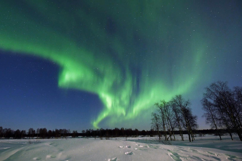 Kittilä: Northern Lights Sled Ride with Snowmobile