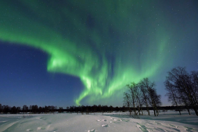 Kittilä: Northern Lights Sled Ride with Snowmobile