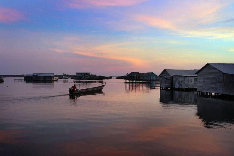 From Santa Marta: 1-Day Nueva Venecia & Ciénaga Grande Tour